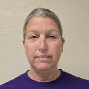 Angella Anne Blevins a registered Sex Offender of Illinois