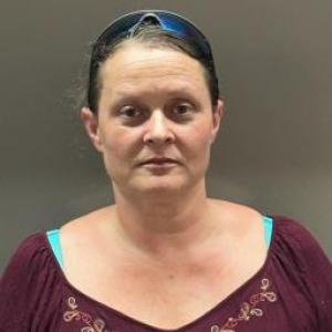 Tanya J Andrews a registered Sex Offender of Illinois