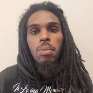 Dominique D Irving a registered Sex Offender of Illinois