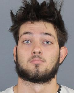 Seth W Icenogle a registered Sex Offender of Illinois