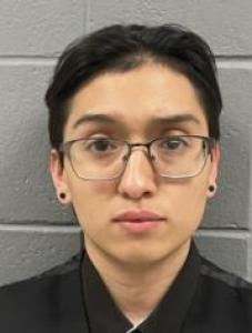 Kevin G Cortes a registered Sex Offender of Illinois