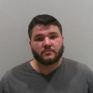 Ethan Scott Mills a registered Sex Offender of Illinois