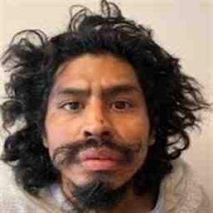 Martin Reyes Jr a registered Sex Offender of Illinois