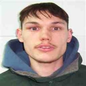 William A Eads a registered Sex Offender of Nevada