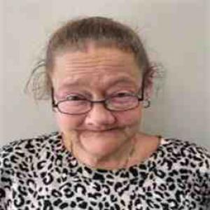 Paula S Hedge a registered Sex Offender of Illinois