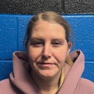 Nicole M Harney a registered Sex Offender of Illinois