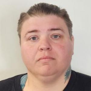 Shannon L Bitter a registered Sex Offender of Illinois