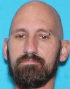 Timothy L Hendrickson a registered Sex Offender of Illinois