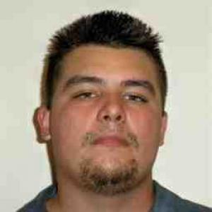 Francis Alexander Georgeff a registered Sex Offender of Illinois