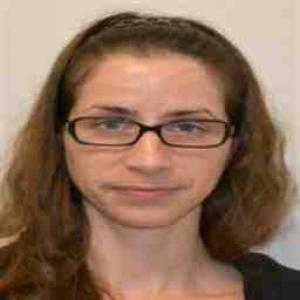 Lisa Suzanne Furman a registered Sex Offender of Tennessee