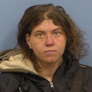 Sheila M Hall a registered Sex Offender of Illinois