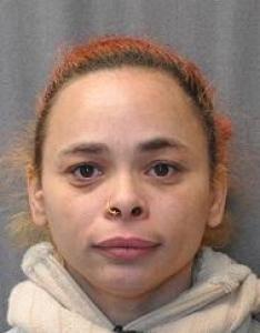 Nicole L Krigner a registered Sex Offender of Georgia