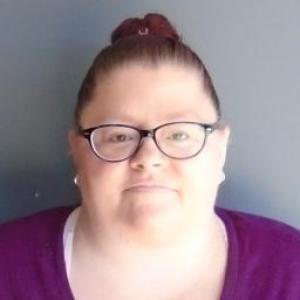 Brandi Jo Ince a registered Sex Offender of Illinois