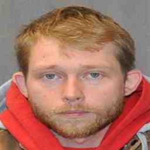 David M Bridges a registered Sex Offender of Illinois