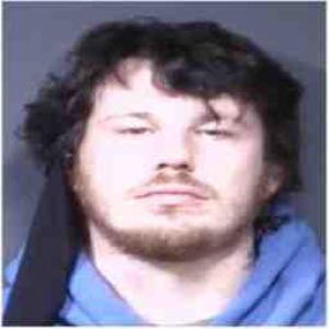 Timothy L Brown a registered Sex Offender of Illinois