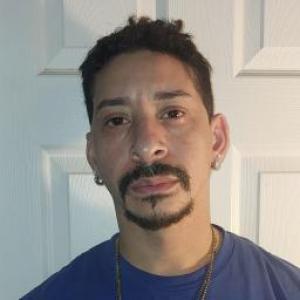 Michael J Nurnberg a registered Sex Offender of Illinois
