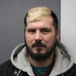 Robert Lee Ray a registered Sex Offender of Illinois