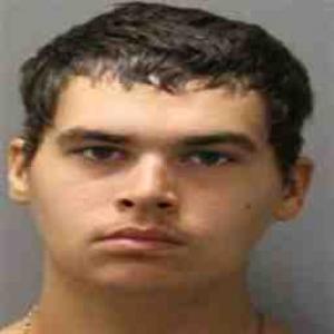 Joshua Ryan Shearer a registered Sex Offender of Illinois