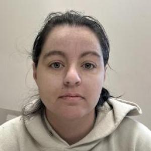 Robin L Vogel a registered Sex Offender of Illinois