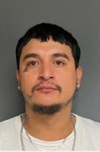 Ricardo G Nunez a registered Sex Offender of Illinois