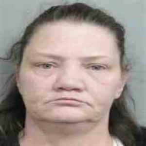 Karen S Rhodes a registered Sex Offender of Michigan
