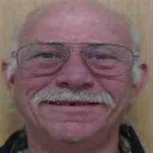Michael W Hamburg a registered Sex Offender of Illinois