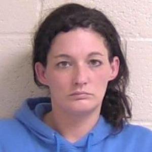 Courtney Ann Runion a registered Sex Offender of Illinois