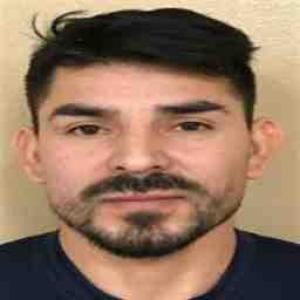 Salvador G Ortega a registered Sex Offender of Illinois
