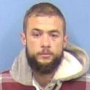 Shawn M Lewis a registered Sex Offender of Illinois