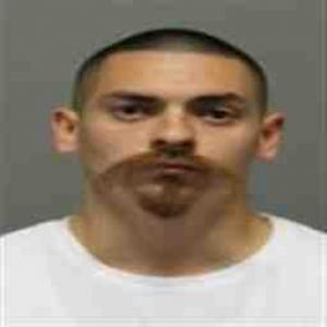 Dylan B Fenoglio a registered Sex Offender of Illinois