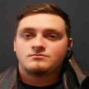 Ethan Mikael Zitelman a registered Sex Offender of Illinois