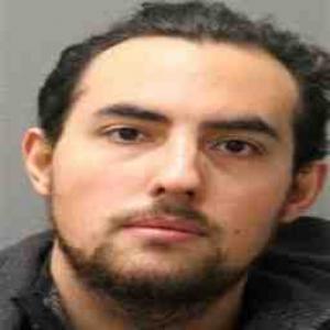 Otto Palma a registered Sex Offender of Illinois