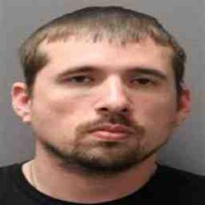 Steven M Danalewich a registered Sex Offender of Illinois