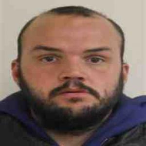 Michael J Ludwick a registered Sex Offender of Illinois
