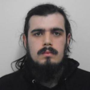 Brandon J Stellwag a registered Sex Offender of Illinois