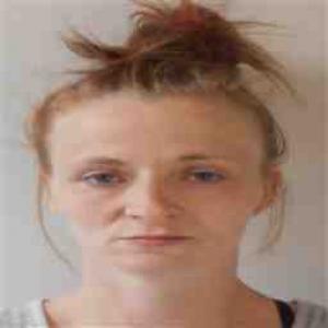 Nicole Lynn Goodman a registered Sex Offender of Illinois