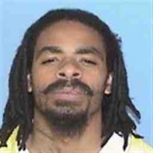 Lamont A Fleming a registered Sex Offender of Illinois
