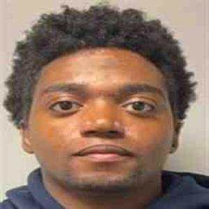 Johnathan Geavanie Rankin a registered Sex Offender of Illinois