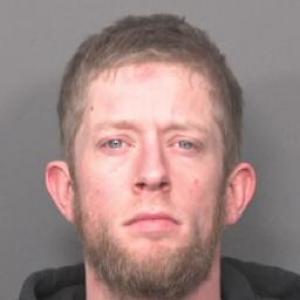 Dominic G Larson a registered Sex Offender of Illinois