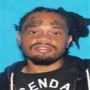 Roland L Robinson a registered Sex Offender of Missouri
