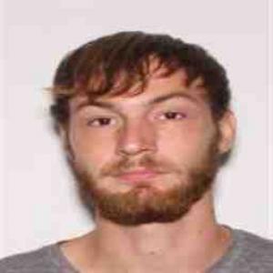 Allen D Hodgson a registered Sex Offender of Arkansas