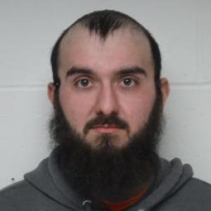 Austin B Goldizen a registered Sex Offender of Illinois