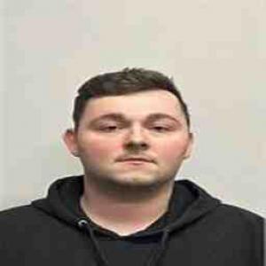 Brennan Michael Love a registered Sex Offender of Illinois