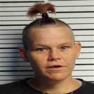 Amy Lynn Davis a registered Sex Offender of Illinois