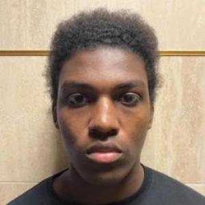 Reginald Ingram a registered Sex Offender of Illinois