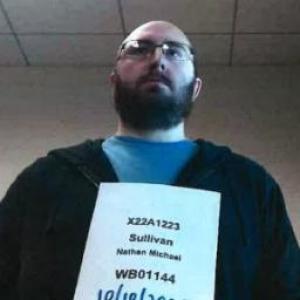 Nathan Michael Sullivan a registered Sex Offender of Illinois