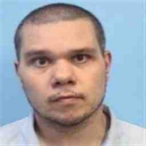 Christopher M Williams a registered Sex Offender of Illinois
