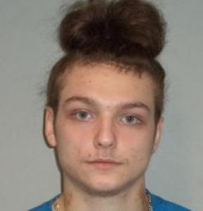 Jose Luis Lemos-damm a registered Sex Offender of Illinois