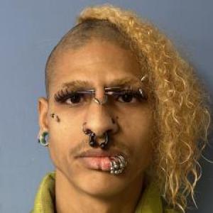 Rayshawn I Reams a registered Sex Offender of Illinois