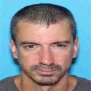 Brian C Johnson a registered Sex Offender of Illinois